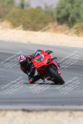 media/Apr-10-2022-SoCal Trackdays (Sun) [[f104b12566]]/Turn 10 (1pm)/